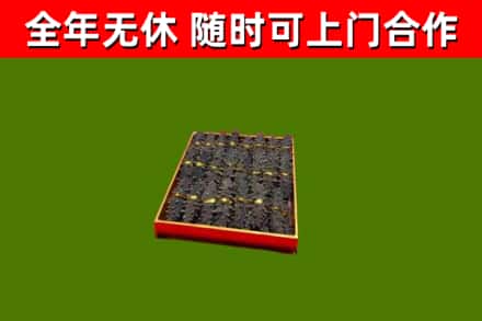 大兴安岭市回收海参